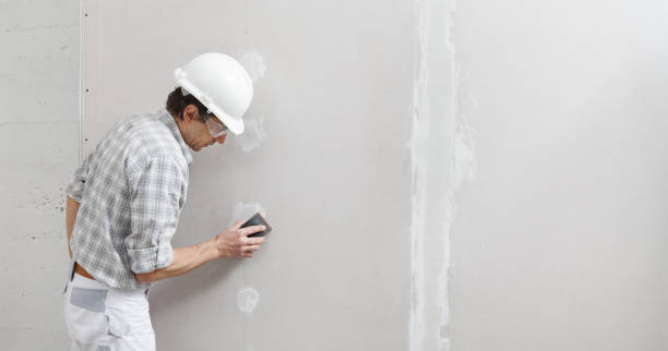 Best Ceiling Drywall Installation  in North Auburn, CA